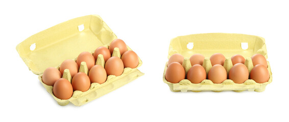 Brown chicken eggs in egg carton isolated on white, set