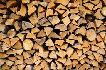 樹木を伐採して薪として使えるサイズにカットして山積みした様子