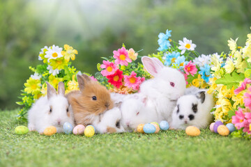 Lovely bunny easter fluffy baby rabbit eating green grass with a basket full of colorful easter eggs on green garden nature with flowers background on warmimg day. Symbol of easter day festival.