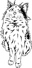 Obraz premium Kids coloring book with pets, coloring page with funny cat
