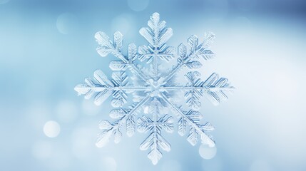 A snowflake is shown in a blue background