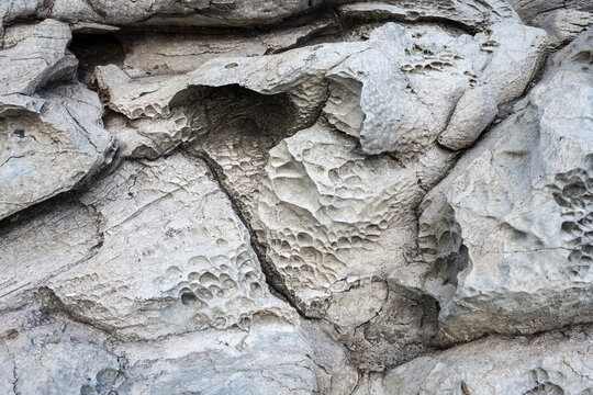 Closeup of light gray lava rock at Makalua-Puna Point, Maui, Hawaii, as a textured nature background
