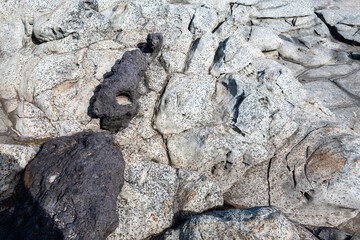 Closeup of white, gray, and dark purple lava rock at Makalua-Puna Point, Maui, Hawaii, as a nature background
