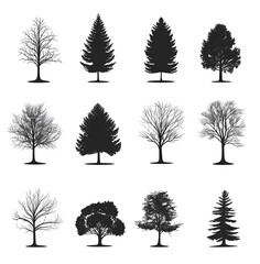  set of pine tree silhouette  isolated on white background