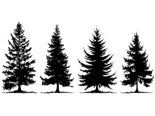 Fototapeta premium set of pine trees, black and white silhouette sets of a spruce tree