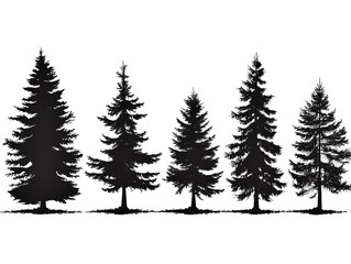 set of pine trees,  black and white silhouette sets of a spruce tree