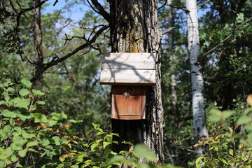 bird house attached to a tree