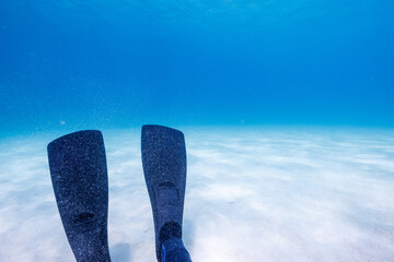 素晴らしいサンゴ礁の最高に美しく透明な白い砂地と私の足ヒレ。...