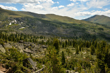 Overgrown with low pines and cedars, the slopes of high mountain ranges under a cloudy summer sky.