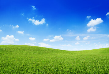 Obraz premium Green grass hill and clear blue sky, Ai generative