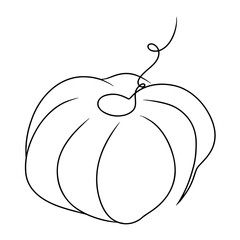 Continuous line drawing fruit of gooseberry. Vector illustration.
