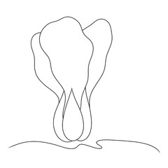 Continuous line drawing of bok choy. Vector illustration.