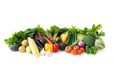 色々な野菜　集合