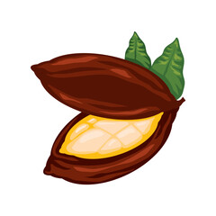 cocoa superfood nature