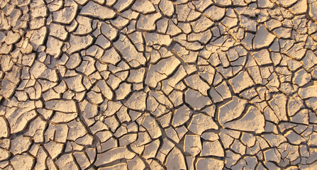 Cracked earth