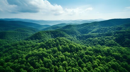 Aerial view of dense green forest, captured by drone, showcasing CO2 absorption, nature background promoting carbon neutrality and net zero emissions, sustainable green environment concept