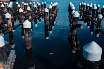 wood pier in the harbor