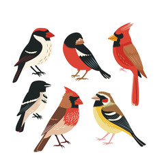 Fototapeta premium colorful illustration showcasing a collection of six stylized birds