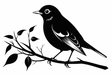 Robin bird on the branch white background vector illustration