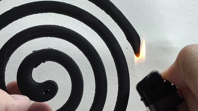 Mosquito coils to fight dengue and malaria