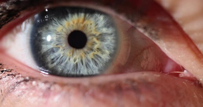 Blue orange human female eye closeup