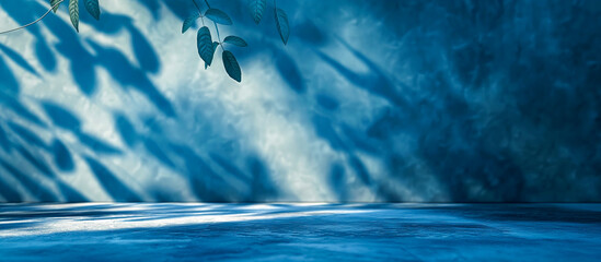 blue bokeh empty room with foliage shadow background