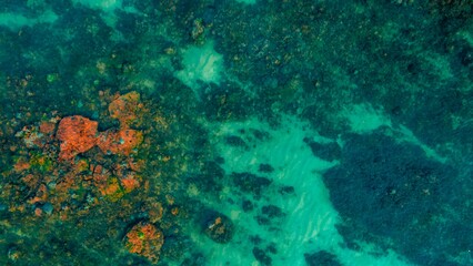 Aerial View of a Coral Reef in the Ocean Red Orange Rocks Teal Water