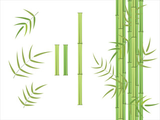 Green bamboo and leaves vector element set