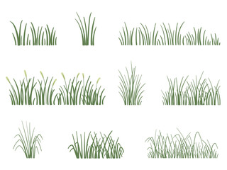 Hand drawn grass field. organic vector element