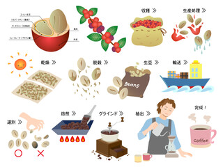 コーヒー豆の精製工程とコーヒーを淹れる男性