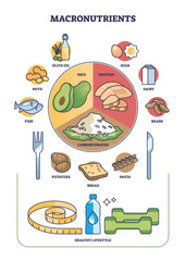 Macronutrients as fats, protein and carbohydrates complex outline diagram. Labeled educational scheme with healthy meal division for dieting and weight loss vector illustration. Lifestyle awareness.