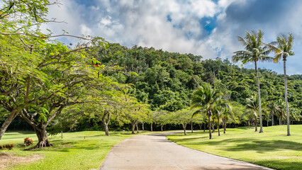 An asphalt road bends in the park. Tall coconut palms and acacia Caesalpinia pulcherrima grow on the roadsides on green lawns. A hill against a blue sky and clouds. Malaysia. Borneo. Kota Kinabalu.