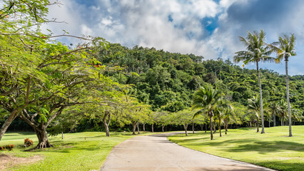 An asphalt road bends in the park. Tall coconut palms and acacia Caesalpinia pulcherrima grow on...