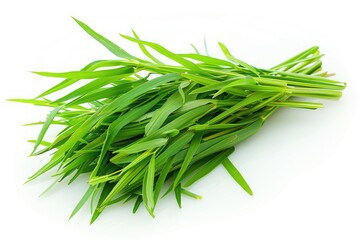 Tarragon sprigs with narrow leaves isolated on white background