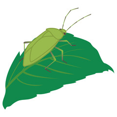 葉っぱの上のカメムシ（斜め向き）のベクターイラスト