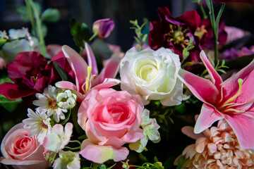 Rose Flowers in soft focus or blurred background and among other multi color orchid flowers.