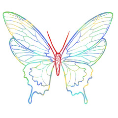 A collection of colorful butterfly illustrations with isolated figures and various wing patterns