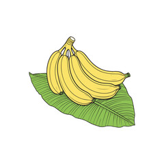 simple illustration bunch of bananas on banana leaves