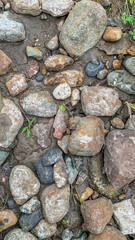 In situ Native American arrowhead artifact found in sand bed of a river 