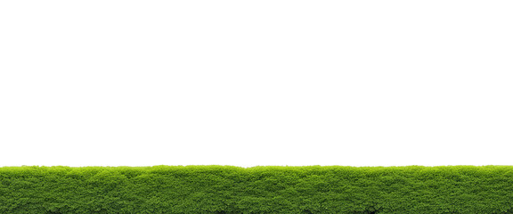 Horizontal of a perfectly trimmed grassy lawn with vibrant green color isolate on transparent background, cutout, png