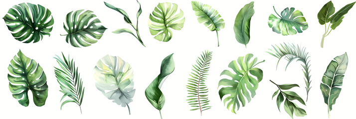 Watercolor Tropical Leaves Illustrations Clipart with Various Green Shades