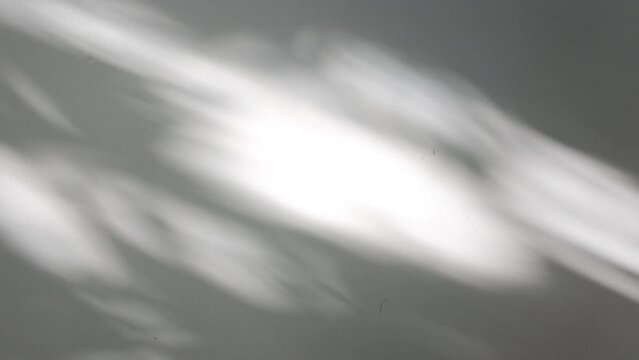 Wall interior background, studio and backdrops show products.with shadow from window color white and grey. background for text insertion and presentation product	