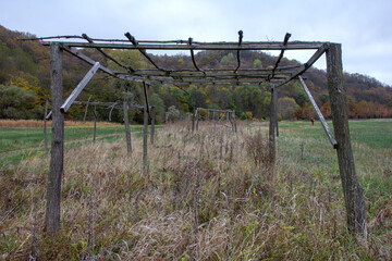 autumn park, which houses objects made of wood for recreation and people's time, an open-air museum