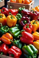 Vibrant peppers proudly showcased for sale at a bustling local farmers market, enticing passersby with their colorful allure