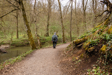 Obraz premium Hiking in the woods.
