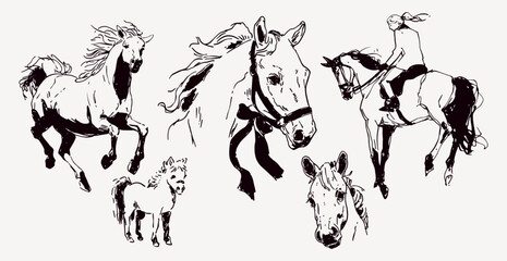 Hand-Drawn Horse Equestrian Aesthetic Cute Animals Vintage Vector Illustration Set