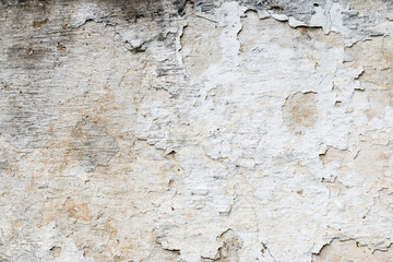 Light Gray Stucco Wall Texture. Abstract Background
