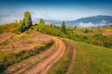 Sunny summer view of dirty country road in Carpathian mountains. Misty morning scene of rolling...