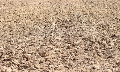 Plowing soil over rice straw