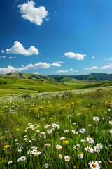 Serene Grassland with Wildflowers and Distant Hills Under a Clear Blue Sky